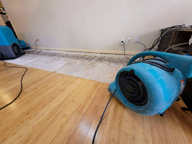 Professional Flood Damage Cleanup technician working in Augusta, KS